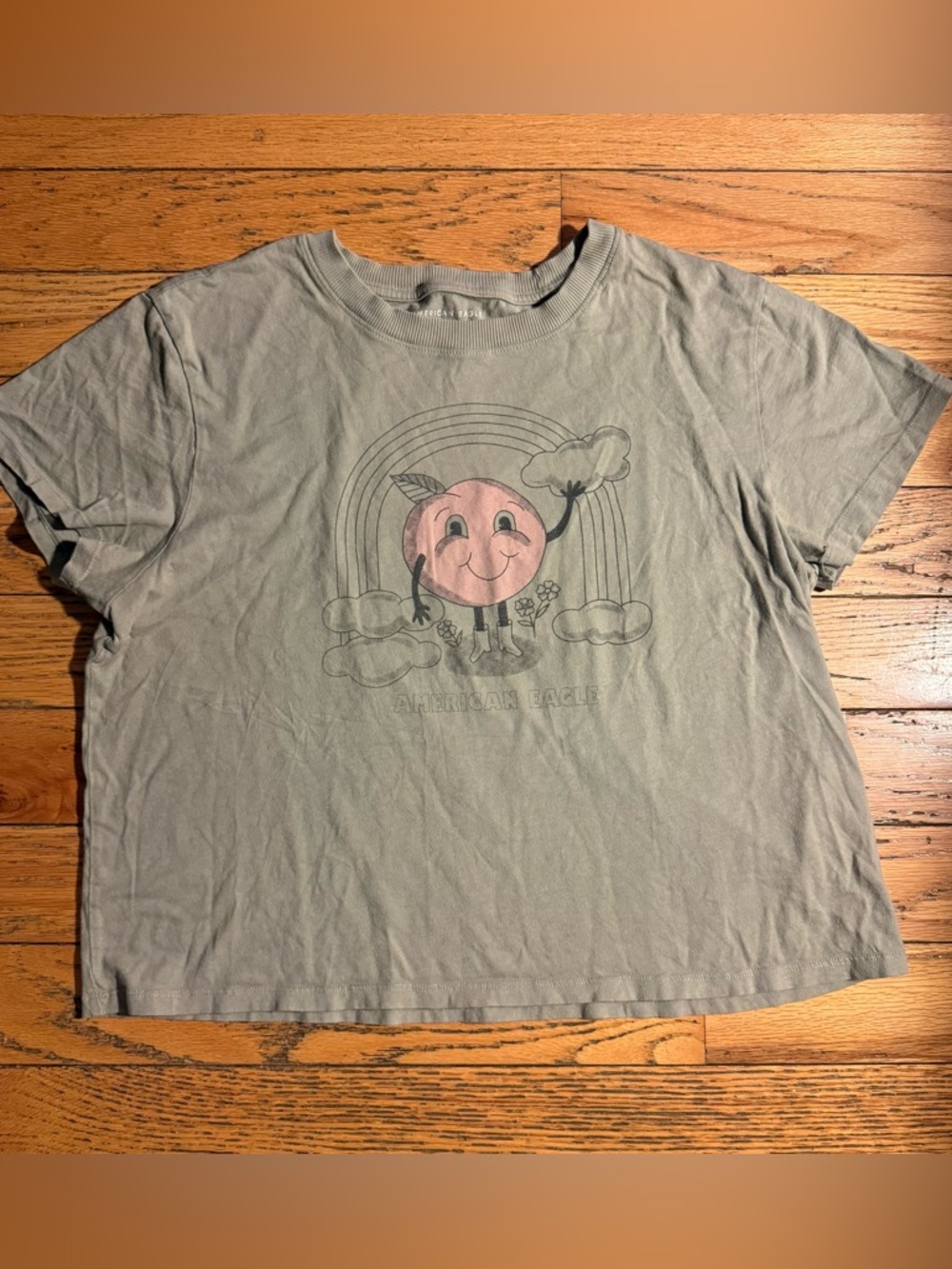 American Eagle Women’s large Graphic Tee - Sage Green